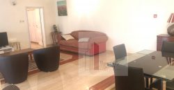 Luxurious and Elegant 1 Fully Furnished Bedroom Apartment