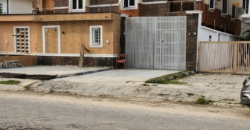 Lekki Phase 1 real estate