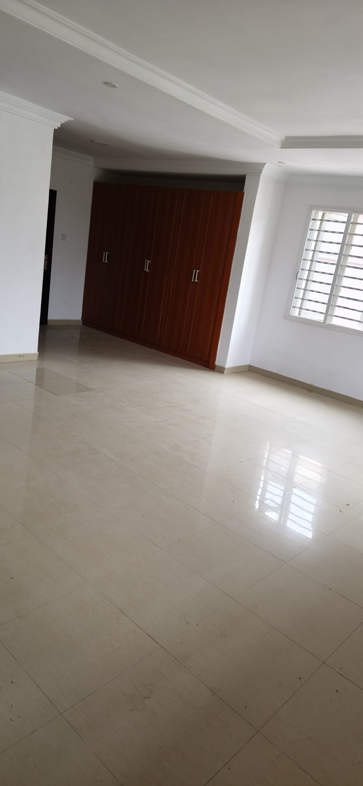 Lekki Phase 1 real estate