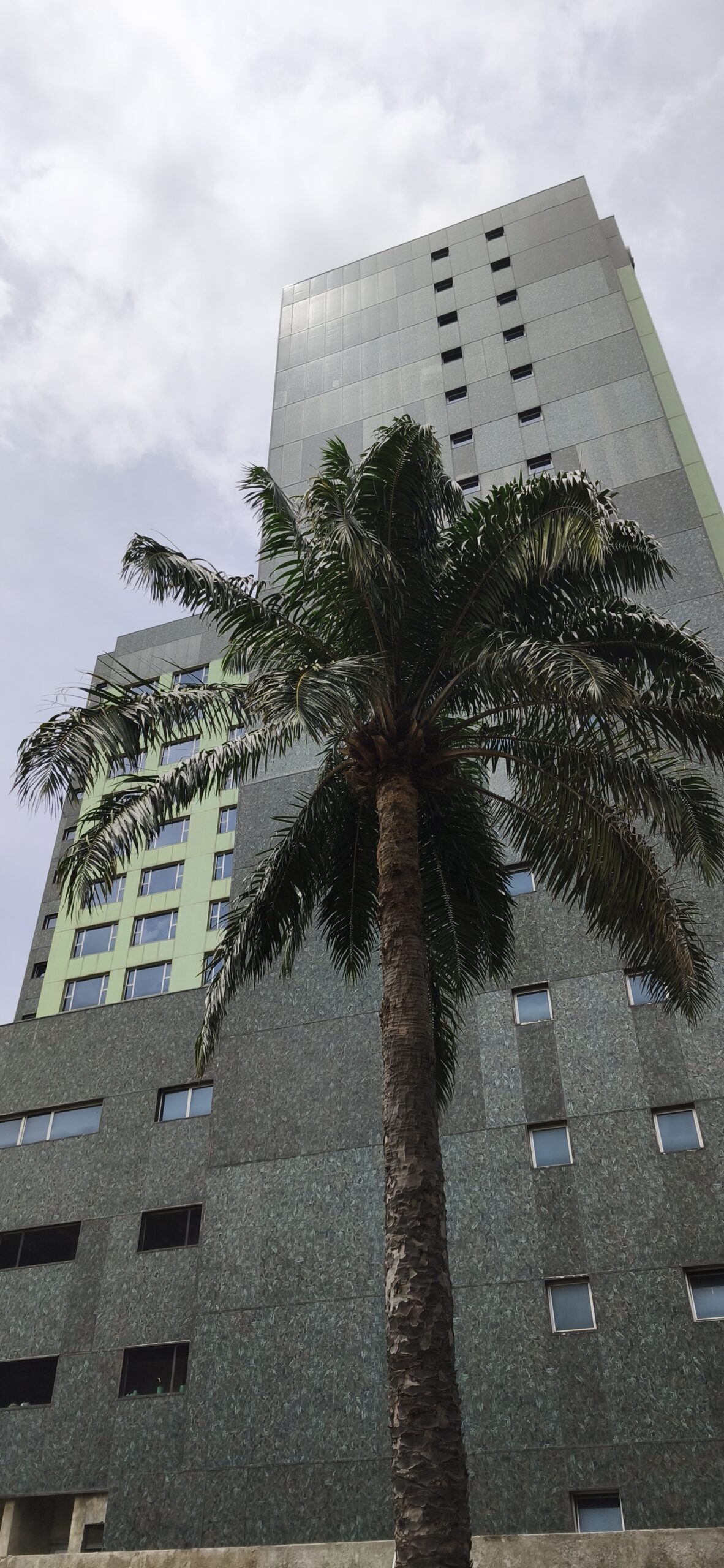 Luxury hotel for sale or lease in Old Ikoyi Lagos