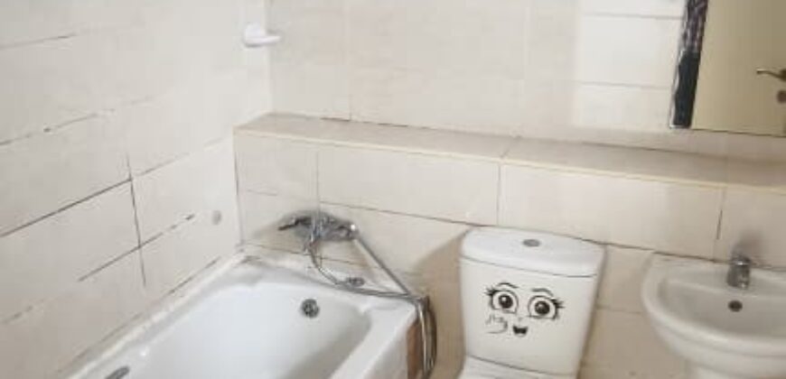 Luxury apartment for rent in Victoria Island Lagos