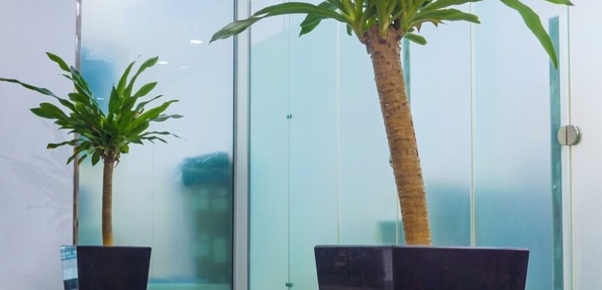 LUXURY OFFICE HIGH-RISE  TOWERS