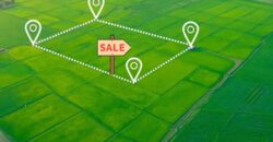 Land for Sale on Lekki Epe Expressway Lagos