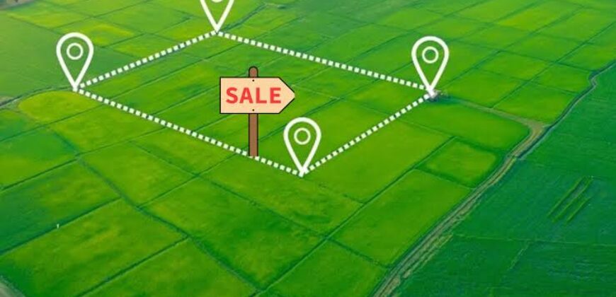 Land for Sale on Lekki Epe Expressway Lagos